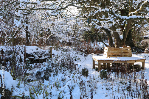 Winter im Naturgarten photo