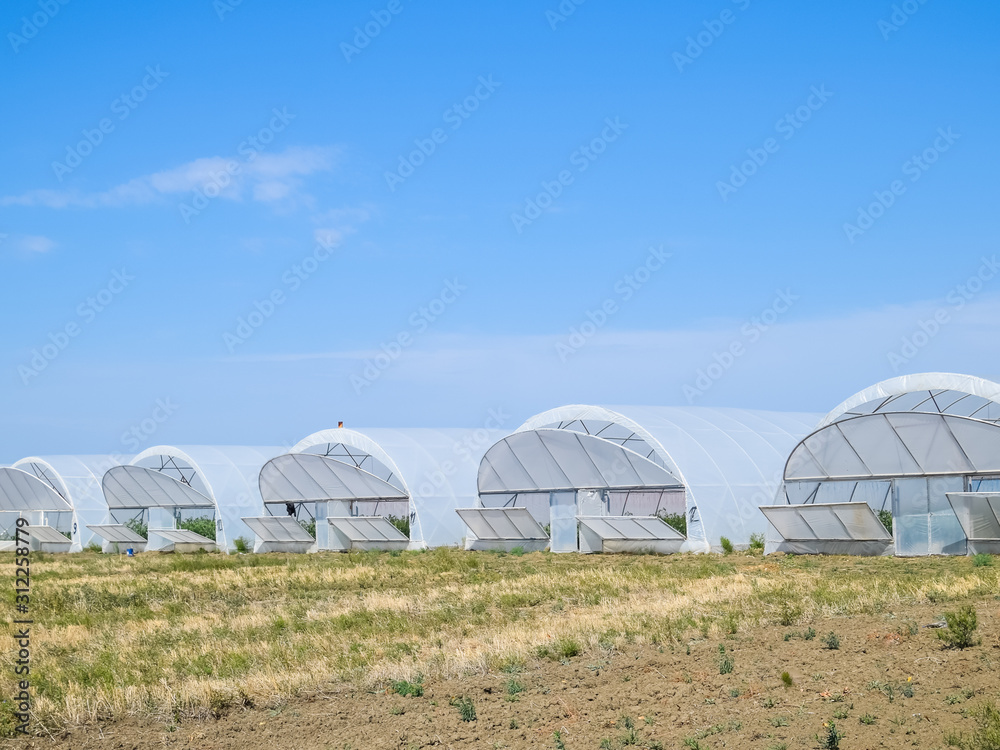 A group of greenhouses for growing tomatoes and cucumbers. A group of greenhouses for growing tomatoes and cucumbers.