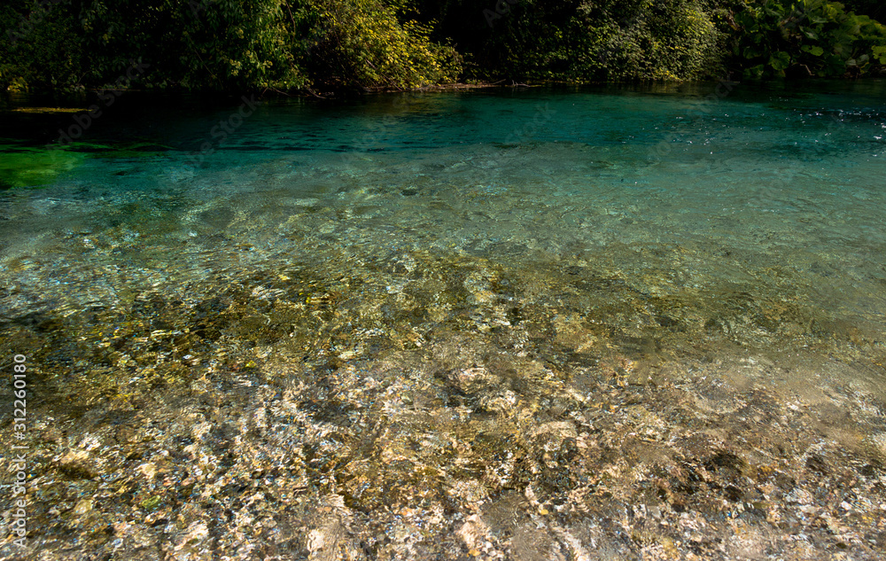 Blue and crystal clear waters in the green vegetation