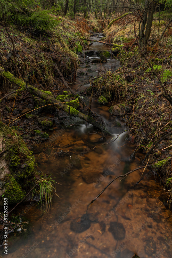 Upper watercourse of Bilina river in Krusne hory mountains in winter day