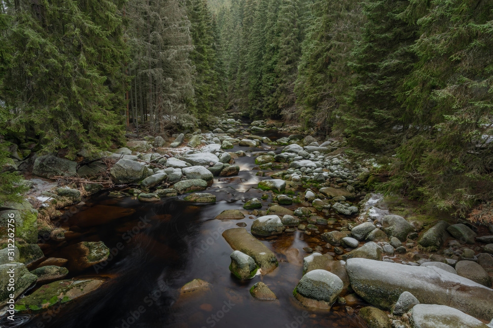 Vydra river in winter cold day in national park Sumava