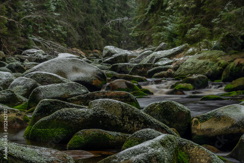 Vydra river in winter cold day in national park Sumava photo