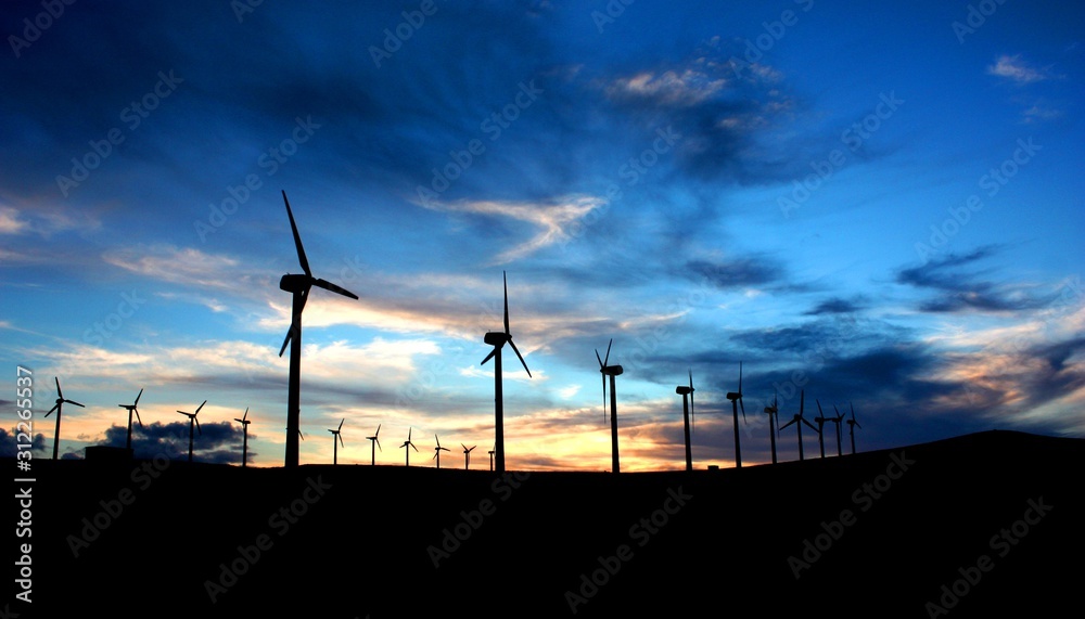 Obraz premium Two rows of windmills on a desert island. More than 20 modern windmill silhouettes during sunset with dark blue sky and clouds behind. Yellow light on the horizon.