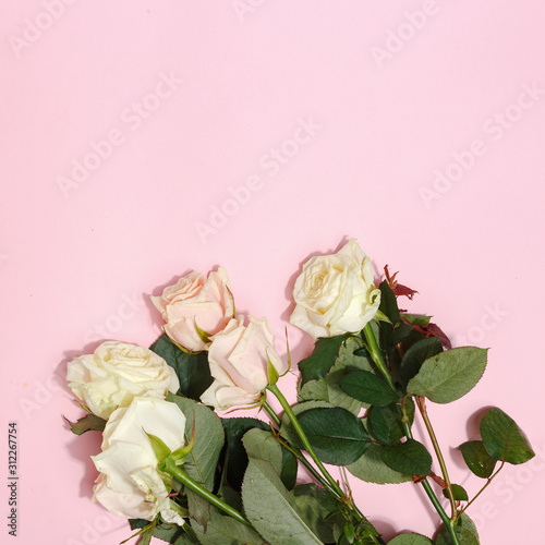 Delicate roses on a pink background. Space for copy top view. Valentine's Day.