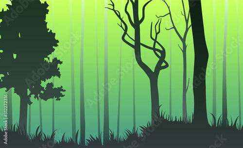 Gloomy forest, silhouettes of tall trees, vector illustration