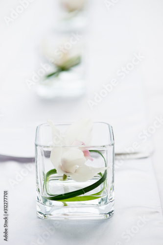 glass of water with a flower