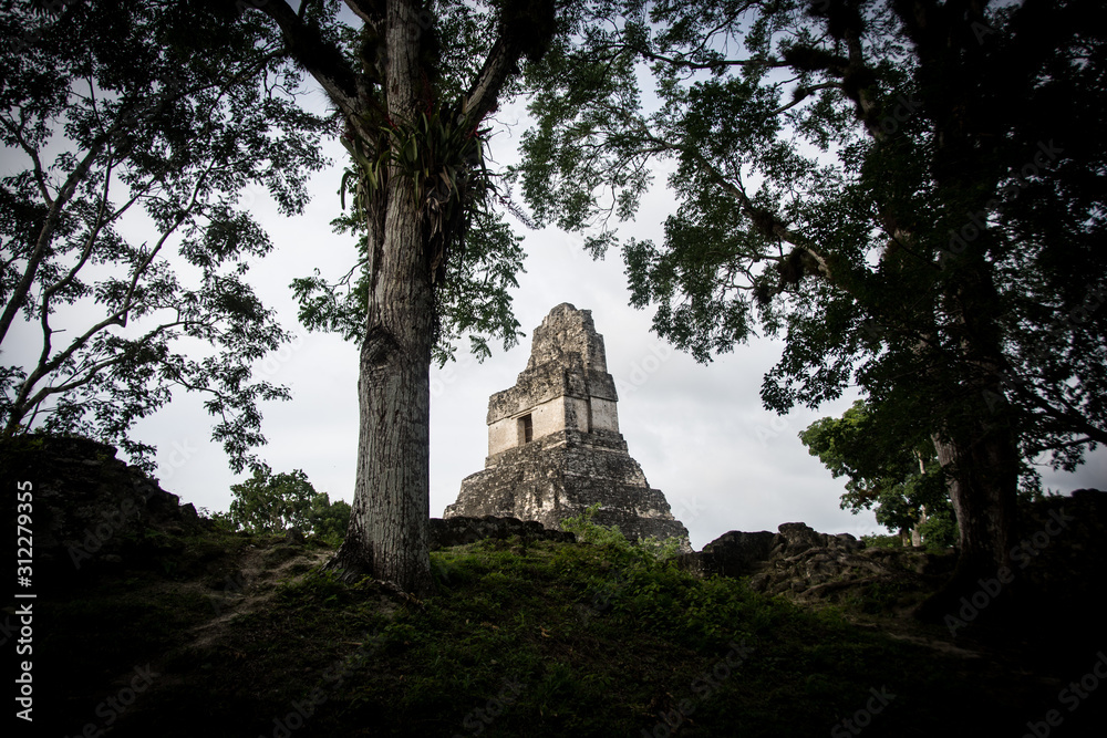 Mayan Ruins at Tikal