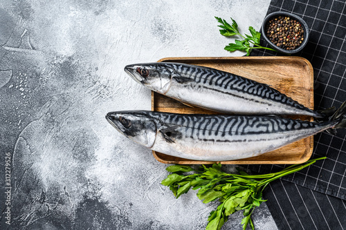 Raw mackerel fish with parsley and pepper. Fresh seafood. Gray background. Top view. Space for text photo