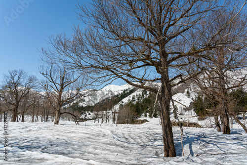 Wallpaper Mural 早春の銀山平 Torontodigital.ca