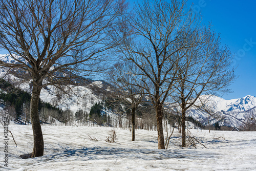 Wallpaper Mural 早春の銀山平 Torontodigital.ca