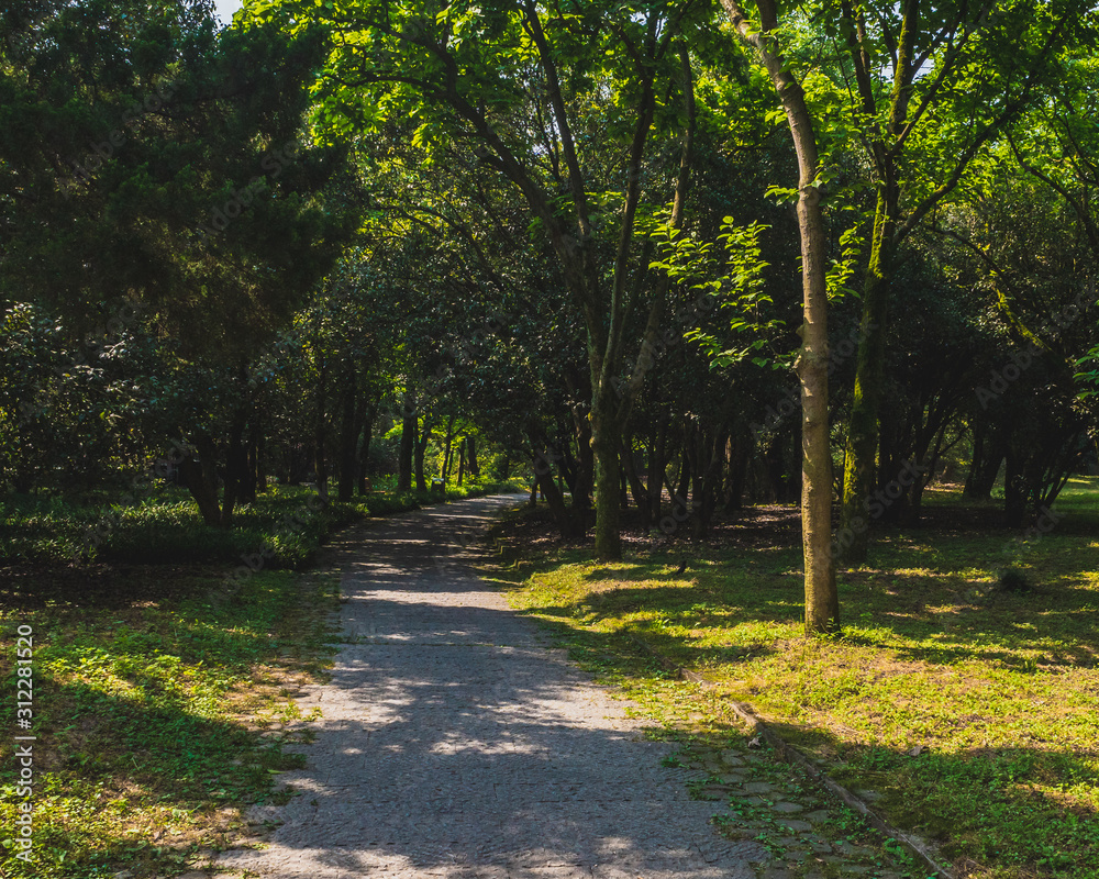 Path among woods in park near West Lake, Hangzhou, China