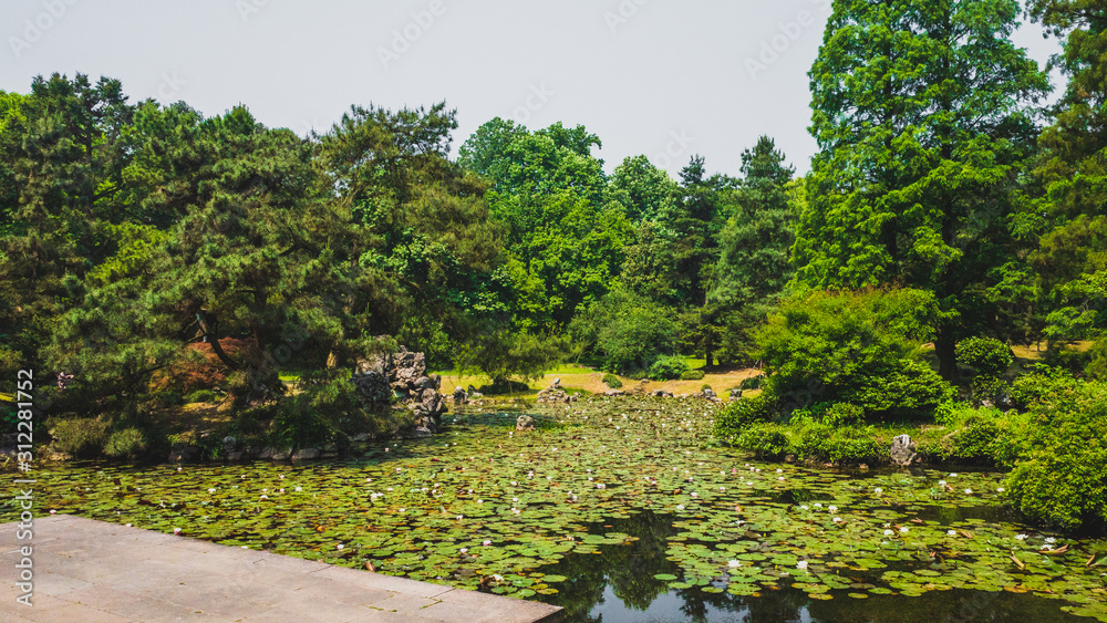 Pond with water lily pads in park near West Lake, Hangzhou, China