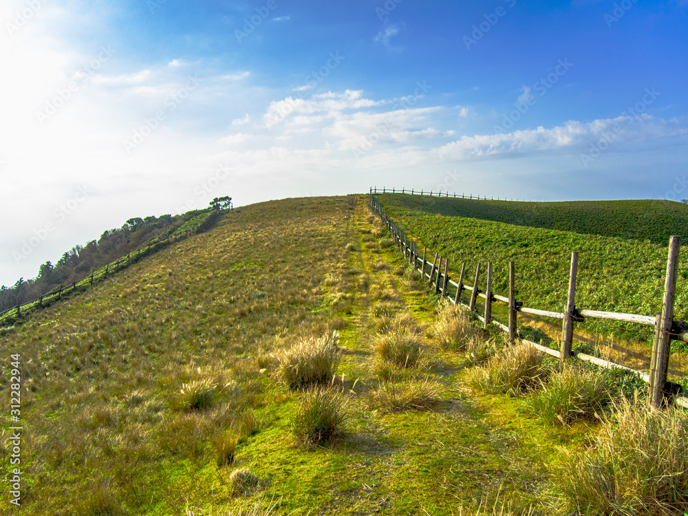 Obraz premium 【静岡県伊豆半島】伊豆山稜線歩道からの風景【秋・仁科峠付近】