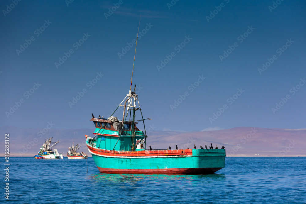 Green fishing ship is anchored off the coast of Pisco, Peru. A lot of birds are sitting on the ship