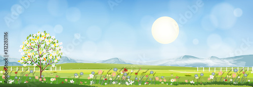 Summer mountain landscape with blue sky and clouds, Panorama Green fields, fresh and peaceful rural nature in springtime with green grass land. Cartoon vector illustration for spring and summer banner