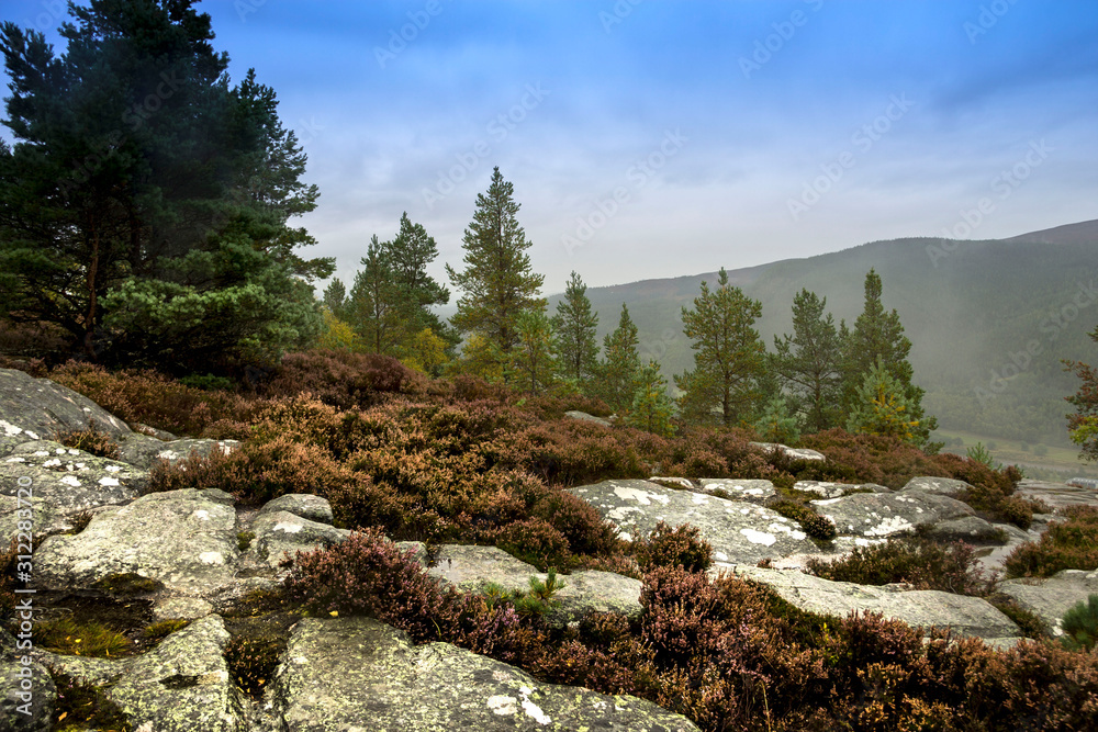 Scenic view from Craigendarroch Hill. Ballater, Royal Deeside, Aberdeenshire, Scotland, UK. Cairngorms National Park. Scenic view from Craigendarroch Hill. Ballater, Royal Deeside, Aberdeenshire, Scotland, UK. Cairngorms National Park.