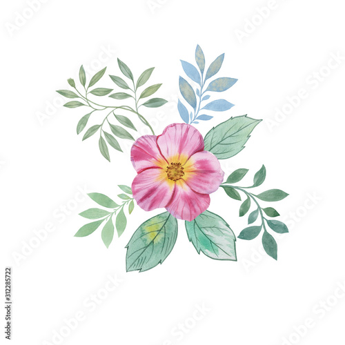 Watercolor painting flowers and leaves isolated on white background. Hand draw watercolor illustration. Design element. Elegant flowers, the leaves and flowers art design. © Sergei