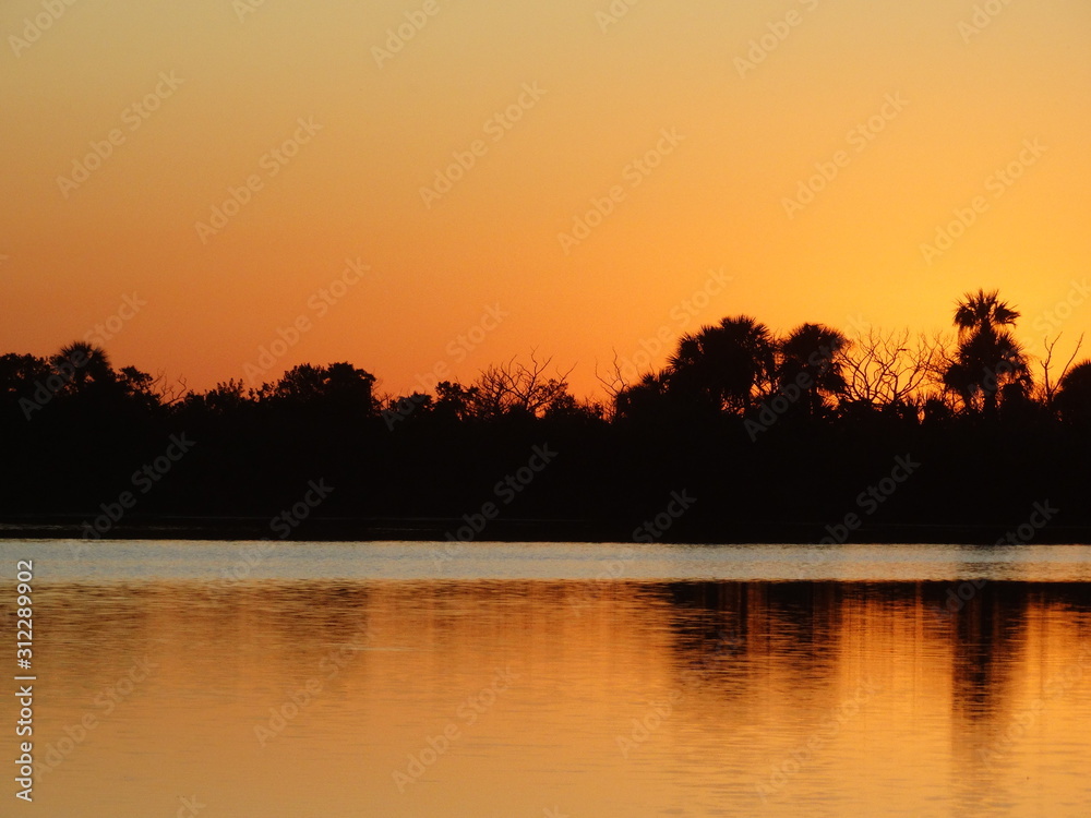 Orange Sunset silhouette with reflection in Florida Swamp #1