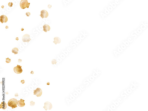 Gold seashells vector, pearl bivalved mollusks