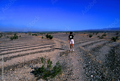 Old road crosses windrows at Topock Maze, Needles, California  photo