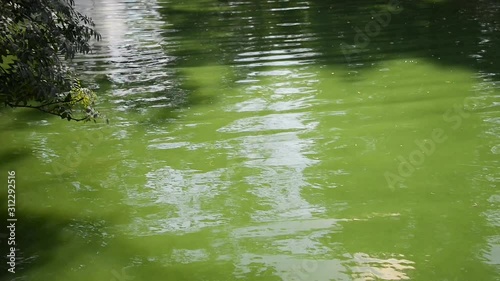Askania-Nova, Ukraine 