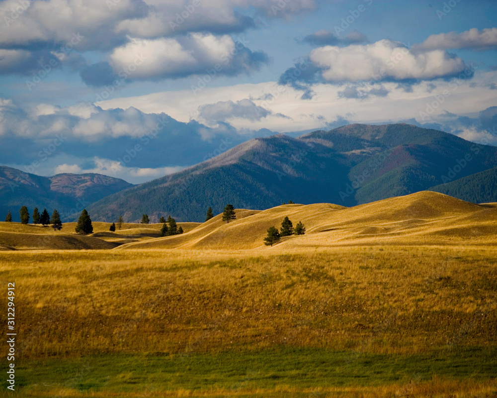 Obraz premium Ovando Autumn