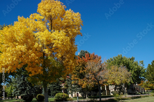 Autumn in Canon City Colorado