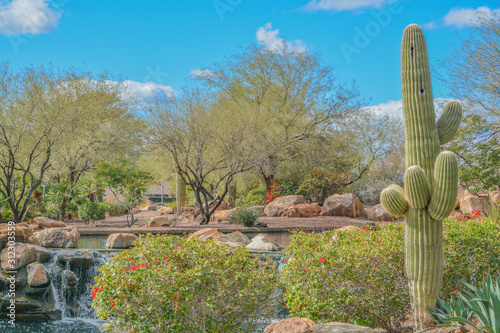 Water fall at Anthem in the Sonoran Desert, Maricopa County, Arizona USA