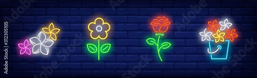 Flowers neon sign set