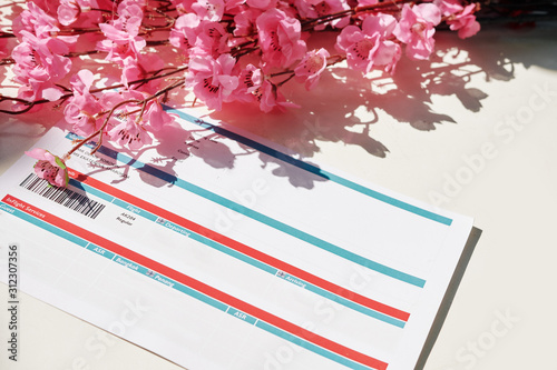 Blooming branches of sakura tree on plane tickets to Japan photo