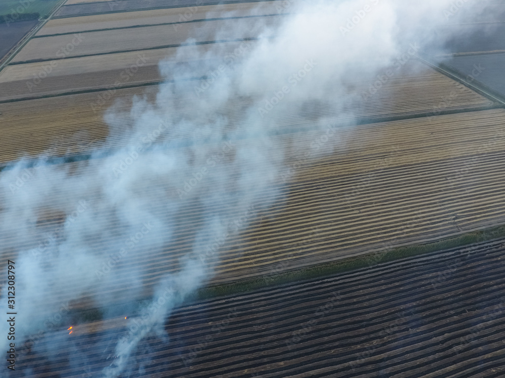 Burning straw in the fields after harvesting wheat crop