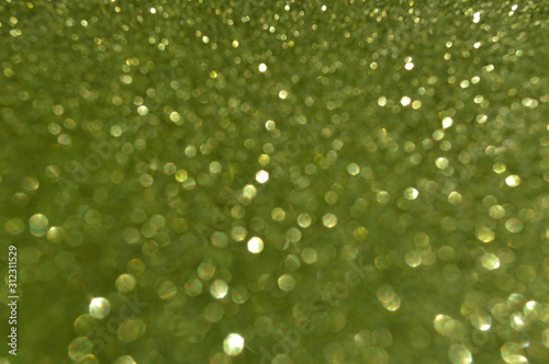 The bokeh of the glittering surface hits the sun.