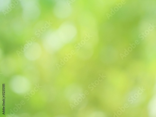 green bokeh leaves on background