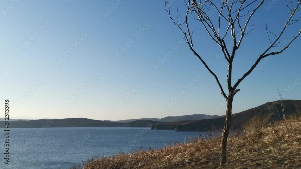 Seascape with a lone tree on a rock. Seascape with a lone tree on a rock.