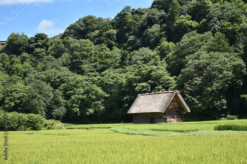 白川郷の一軒