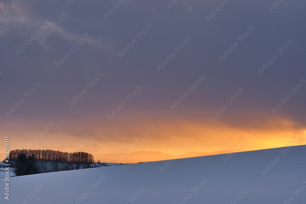 Obraz premium Tourism destination on winter at Biei town, Hokkaido, Japan.