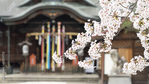 福井 観光 風景