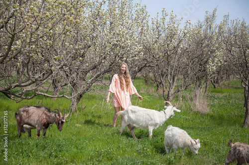 Fototapeta Naklejka Na Ścianę i Meble -  Beautiful blonde woman with animals on the farm