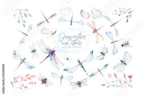 Watercolor fly dragonfly spring wings illustration summer insect collection of bees and wreath dragonflies