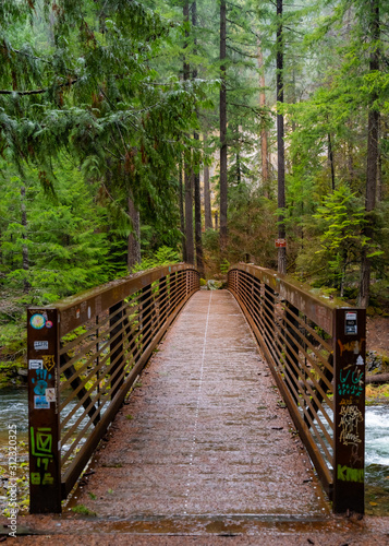 Wood bridge on Forest, Oregon State, Rainforest, old style bridge, nature