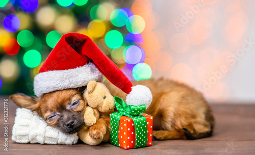 Cute tiny toy terrier puppy wearing a red warm hat hugs toy bear and sleeps on pillow with gift box on festive Christmas background © Ermolaev Alexandr