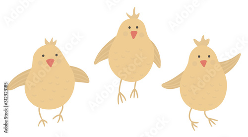 Vector funny chicks isolated on white background. Spring, Easter or farm funny illustration. Cute bird icon.