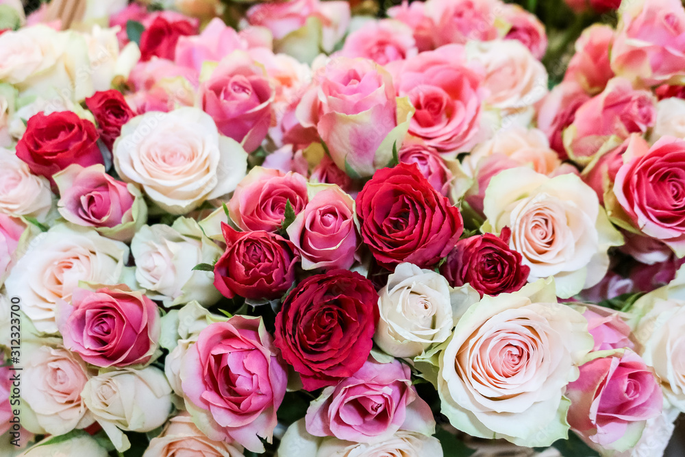 Background of fresh natural roses in light pink red soft pastel colors, selective focus. Concept for valentines day, birthday, wedding Background of fresh natural roses in light pink red soft pastel colors, selective focus. Concept for valentines day, birthday, wedding
