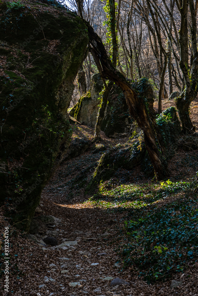 Fototapeta premium Birtvisi canyon in Georgia