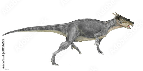 ドラコレックス　恐竜　堅頭科目　パキケファロサウルス科　北米大陸の白亜紀後期の地層から発見されており、パキケファロサウルスの仲間であるが、分厚いドーム型の頭部にはなっていない。禍々しい硬い棘がレックス「竜王」の名を象徴している。全長は3メートル程度。パキケファロサウルスと生息域が重なっており、頭骨の外形も似ているところから、パキケファロサウルスの成長過程の個体であるとする説もある。 © Mineo