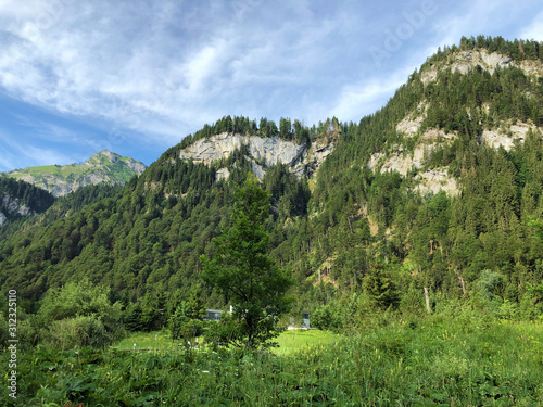 Mixed forests and trees in the Sihltal valley and by the artifical Lake Sihlsee, Studen - Canton of Schwyz, Switzerland photo