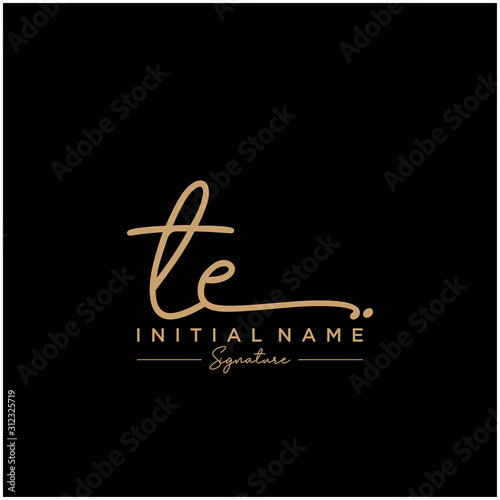 Letter TE Signature Logo Template Vector