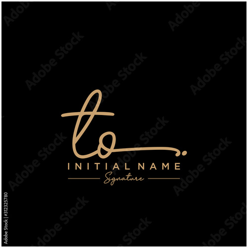 Letter TO Signature Logo Template Vector