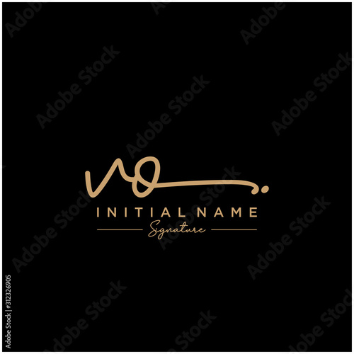 Letter VO Signature Logo Template Vector