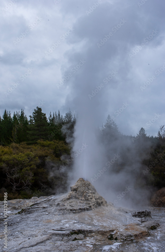 Geyser. . Rotorua New Zealand Thermal Park. Wai-o-tapu. Thermal wonderland. Volcanism.